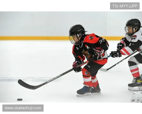 冰球突破豪华版网站常见问题解答与客服支持服务全指南